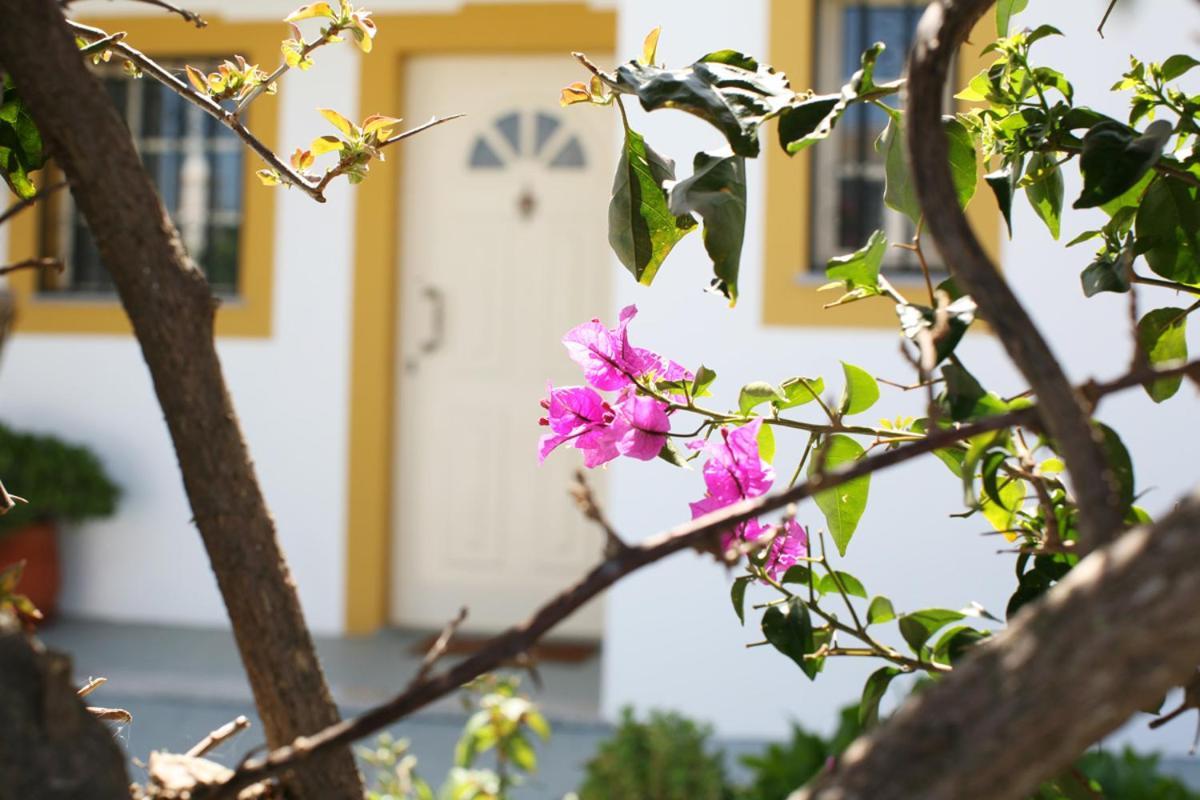 Naomi - Large Garden And Terrace * Albufeira